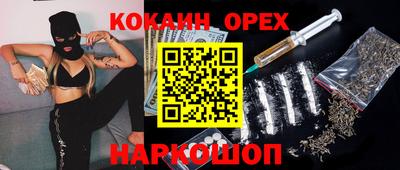 индика Аргун