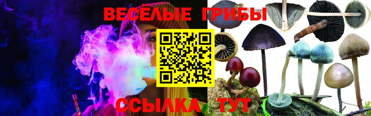 Галлюциногенные грибы мухоморы  Вход с VPN  Архангельск 